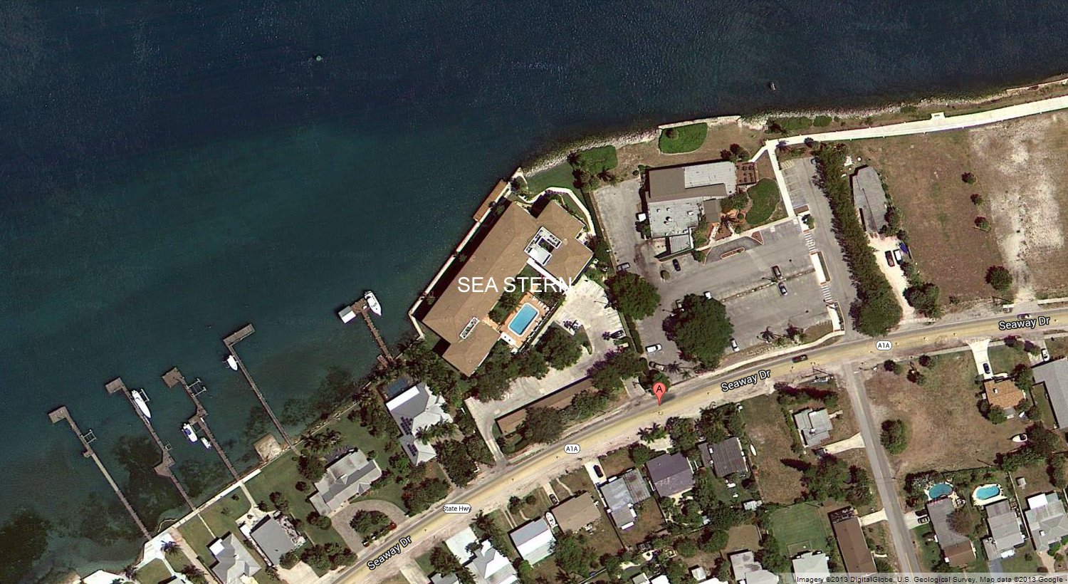 Aerial photo of Sea Tern