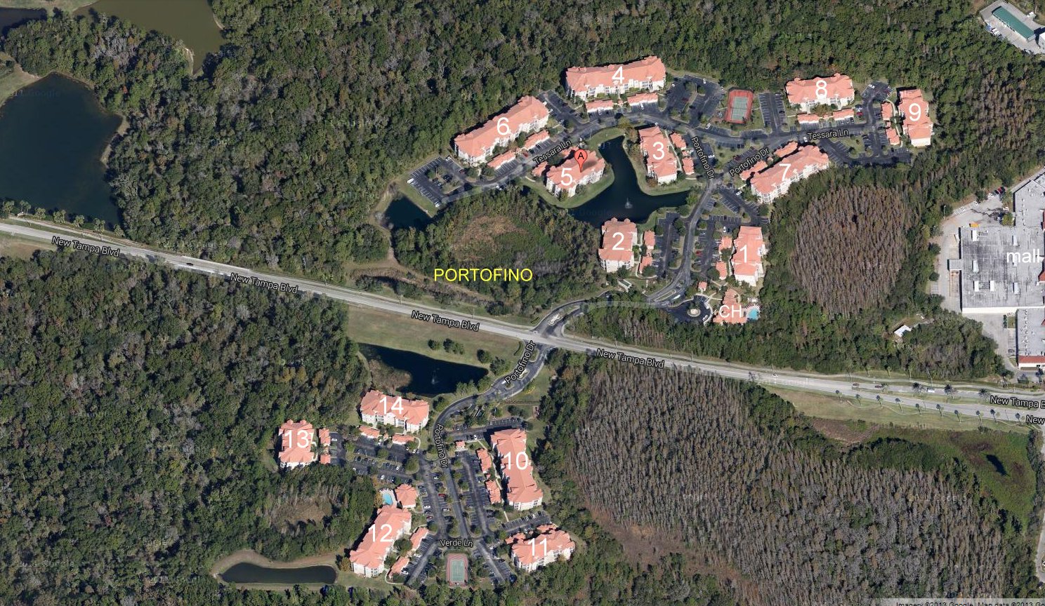 Aerial photo of Portofino at New Tampa (14)