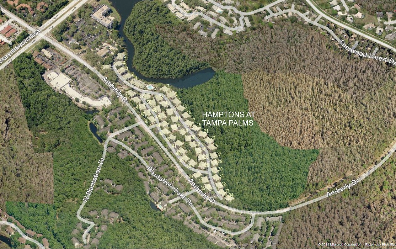 Aerial photo of Hamptons at Tampa Palms