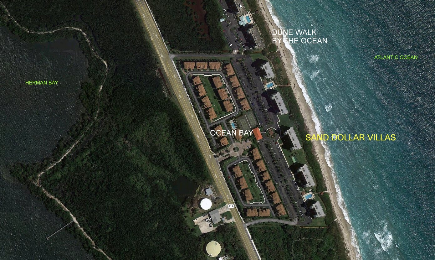 Aerial photo of Sand Dollar