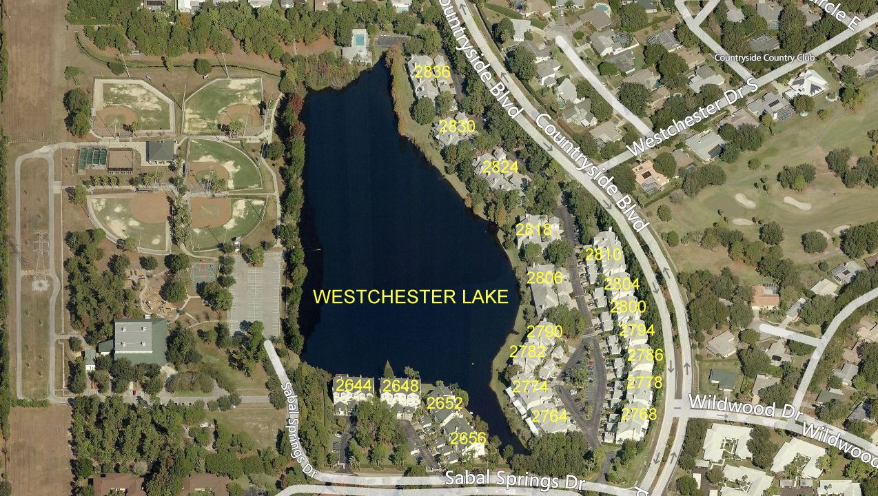 Aerial photo of Westchester Lake