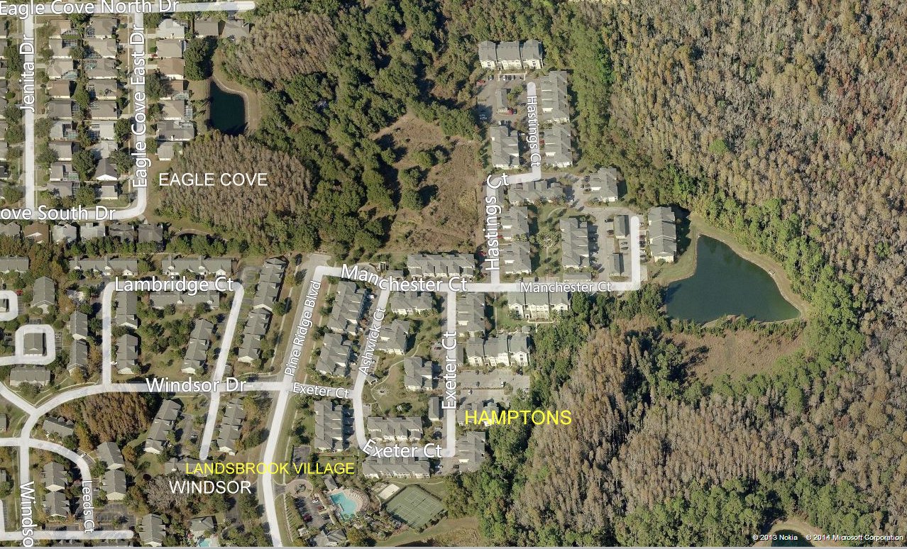 Aerial photo of Lansbrook Village Hamptons