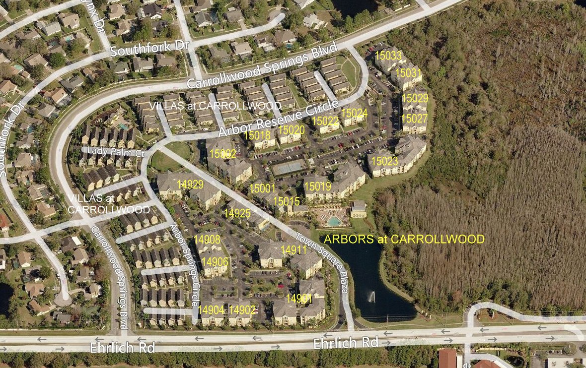 Aerial photo of Arbors at Carrollwood (2)