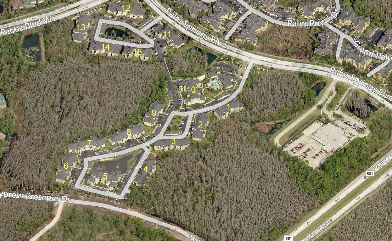 Aerial photo of Oxford Place at Tampa Palms