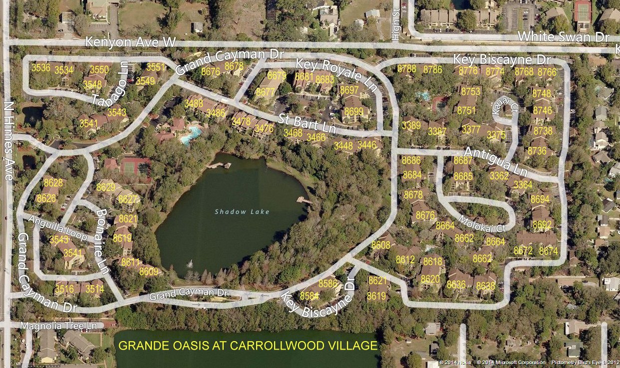Aerial photo of Grande Oasis at Carrollwood Village 2 (16)