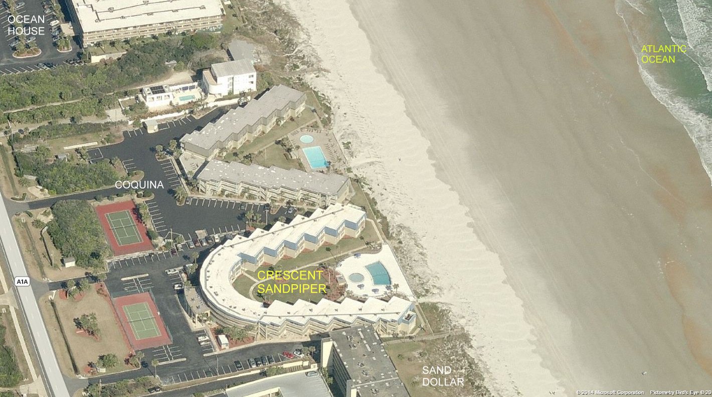 Aerial photo of Crescent Sandpiper