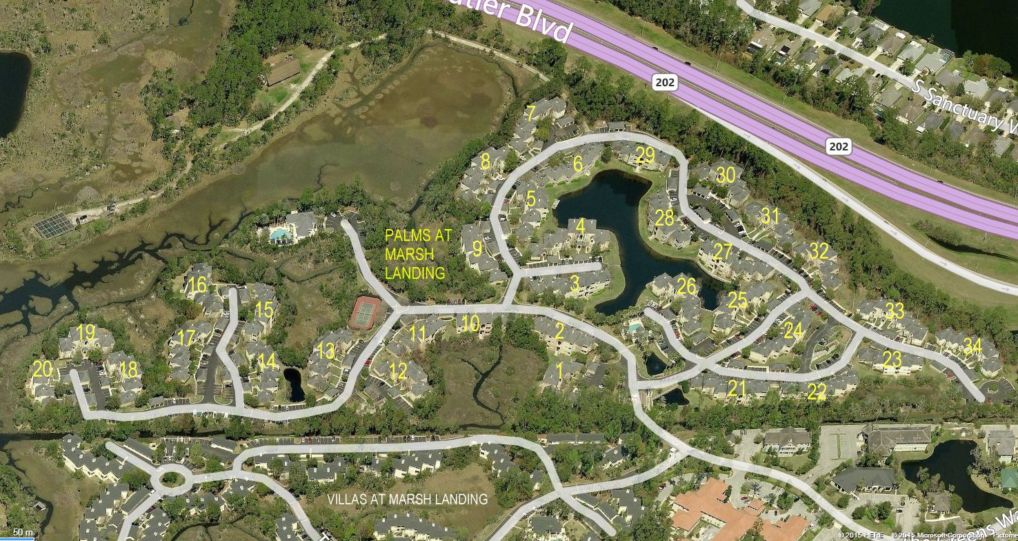 Aerial photo of Palms at Marsh Landing