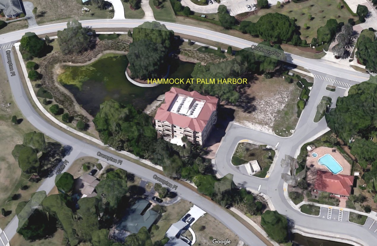 Aerial photo of Hammock at Palm Harbor
