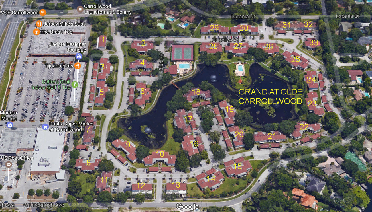 Aerial photo of Grand at Olde Carrollwood