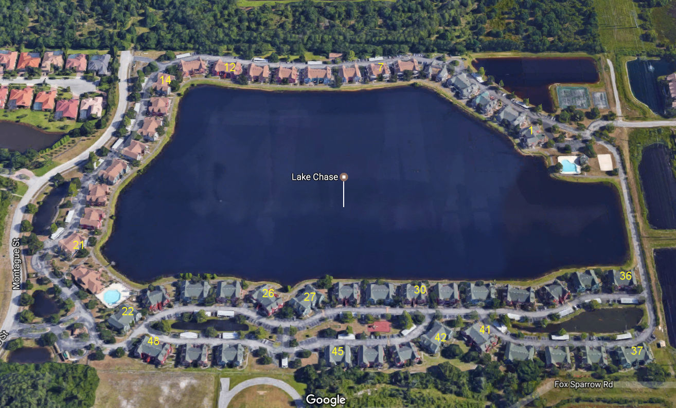 Aerial photo of Lake Chase