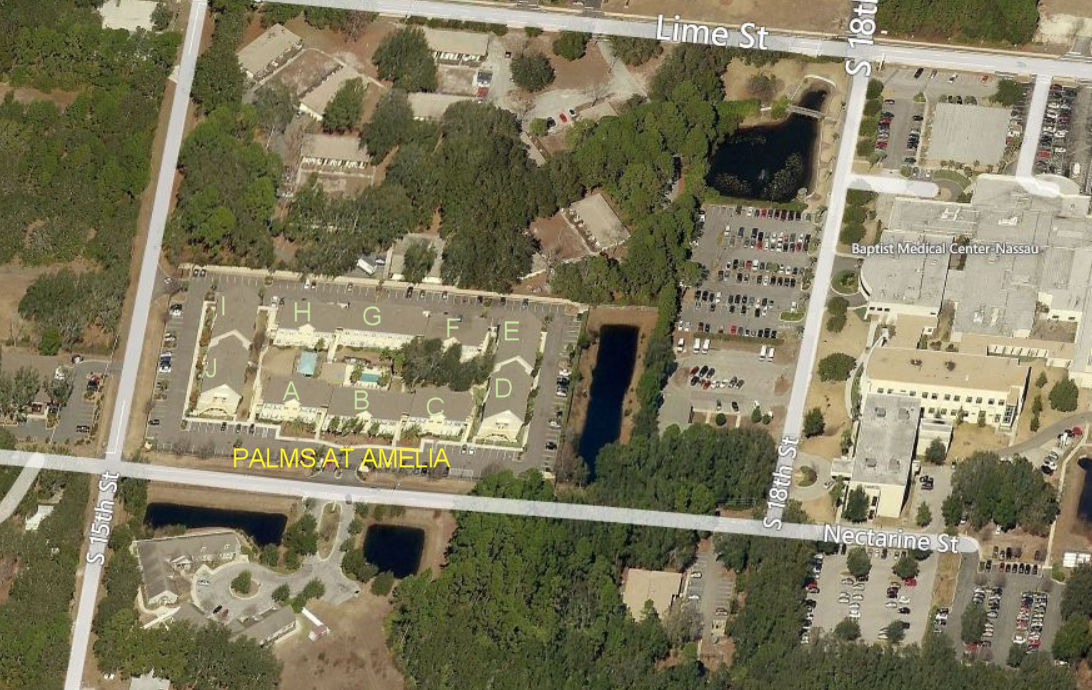 Aerial photo of Palms at Amelia