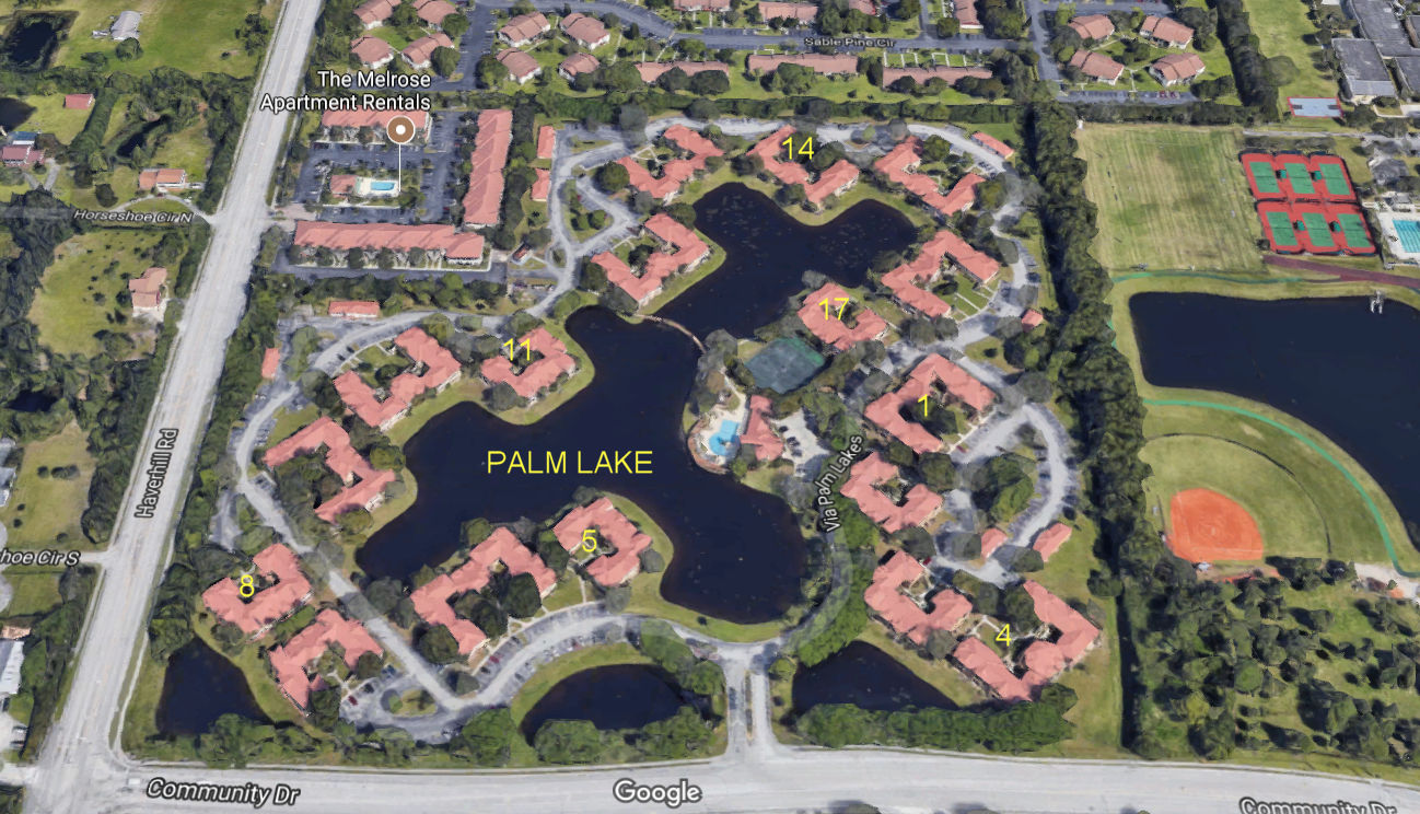 Aerial photo of Palm Lake