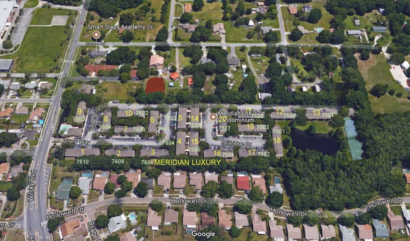 Aerial photo of Meridian Luxury