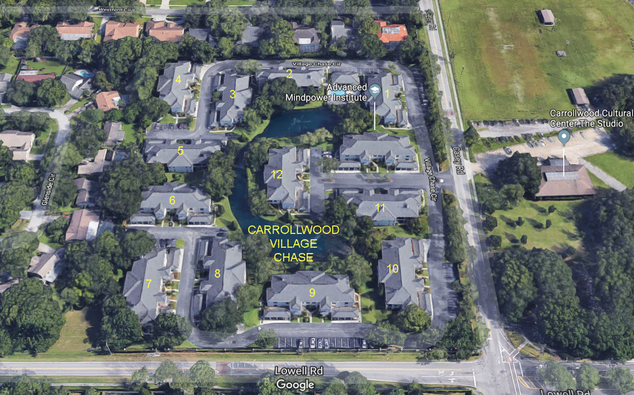 Aerial photo of Carrollwood Village Chase