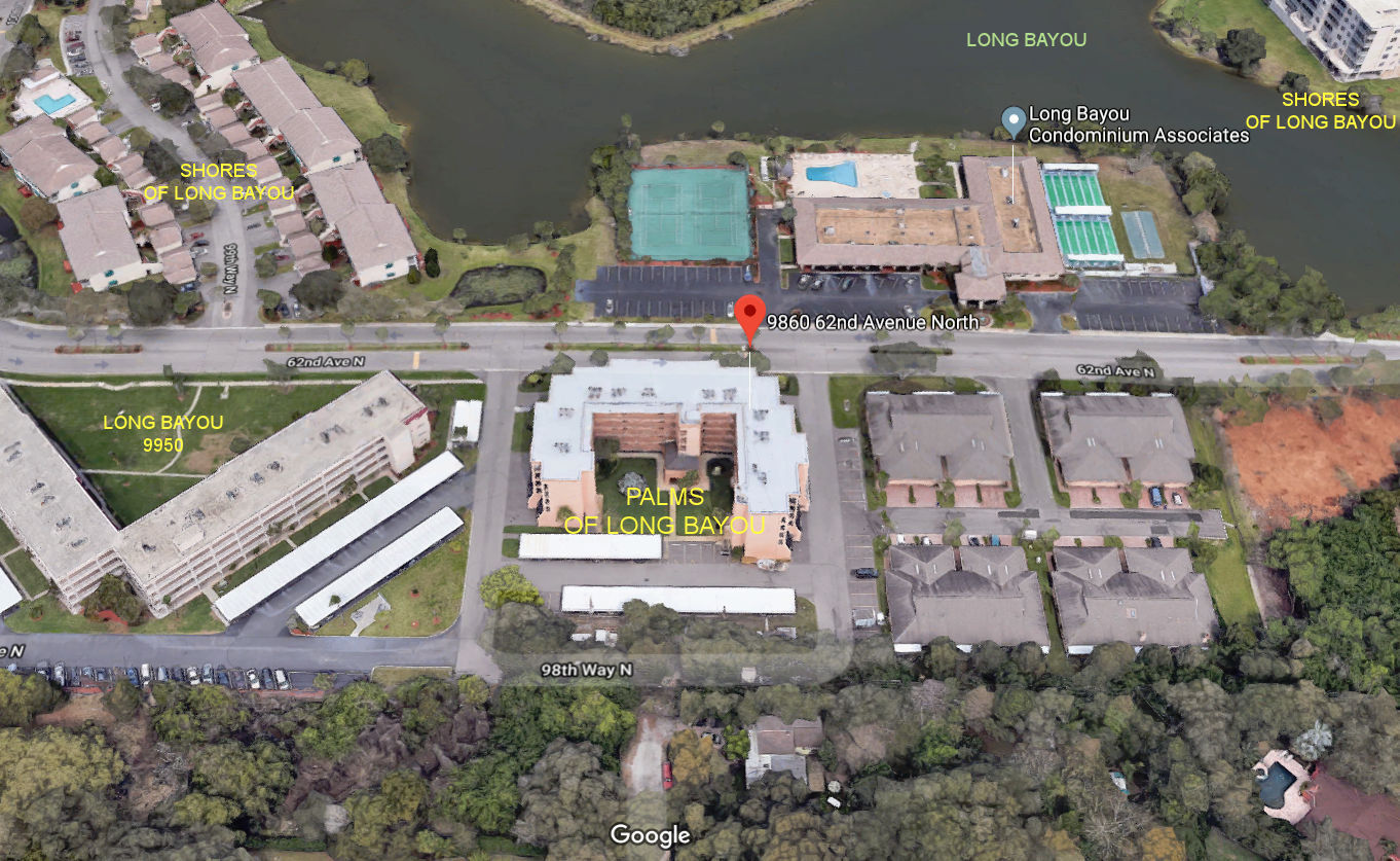 Aerial photo of Palms of Long Bayou