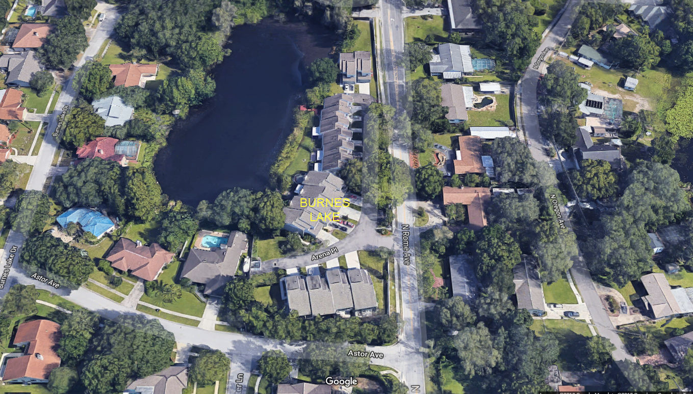 Aerial photo of Burnes Lake