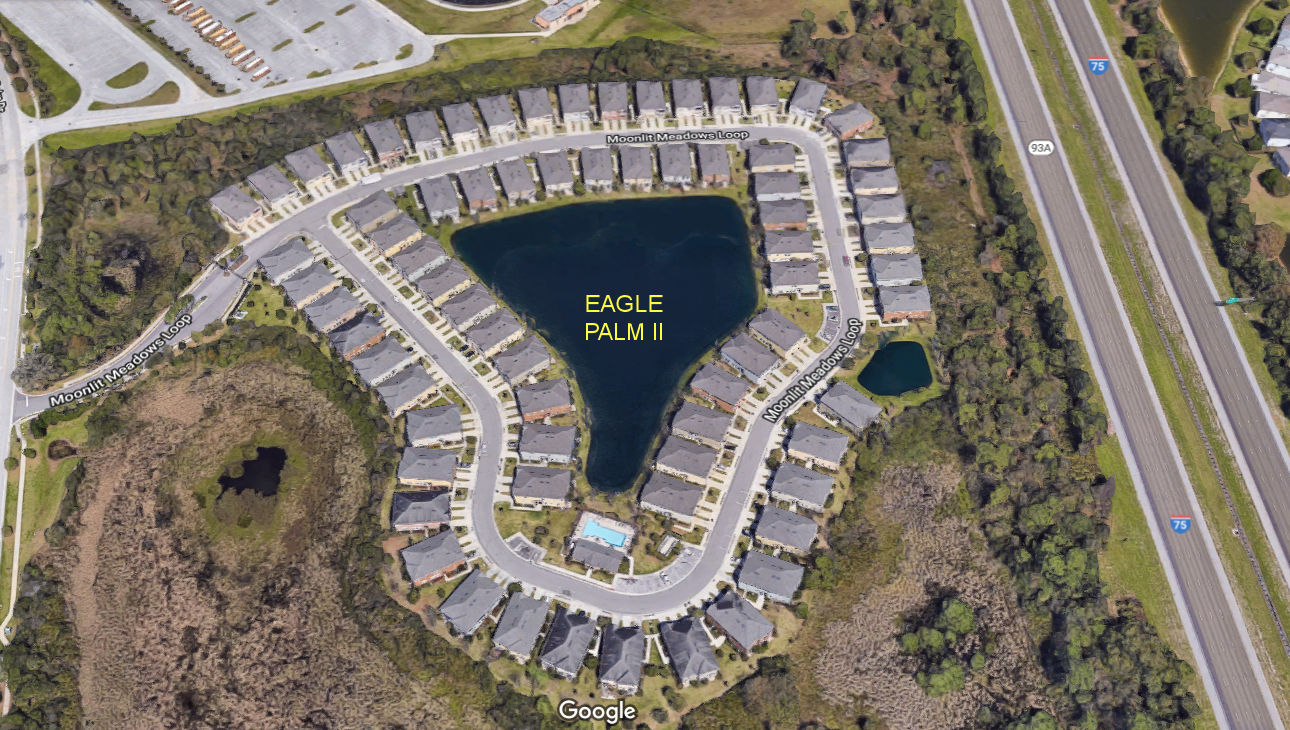 Aerial photo of Eagle Palm II