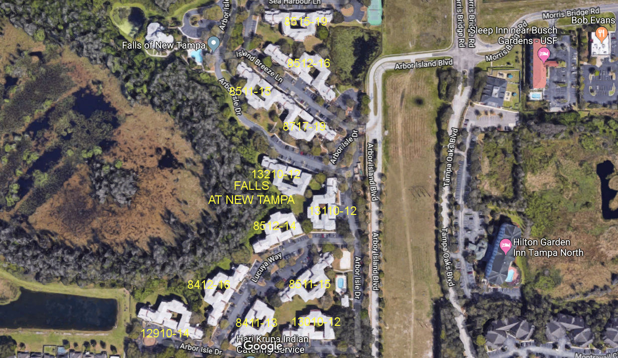 Aerial photo of Falls at New Tampa (1-12)