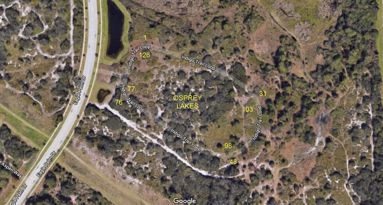 Aerial photo of Osprey Lakes