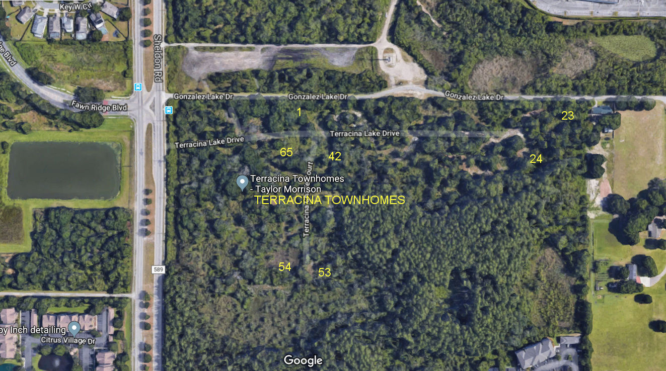 Aerial photo of Terracina Townhomes