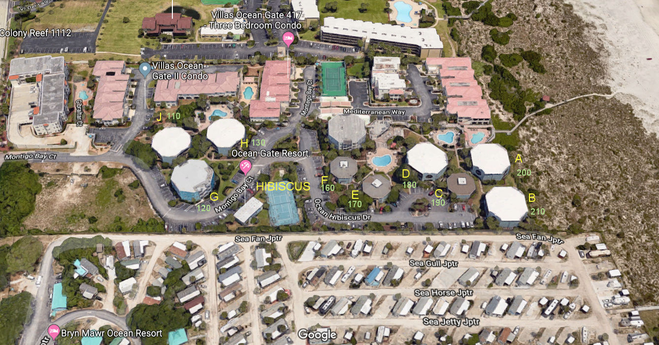 Aerial photo of Hibiscus