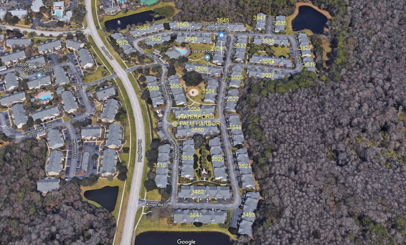 Aerial photo of Waterford at Palm Harbor