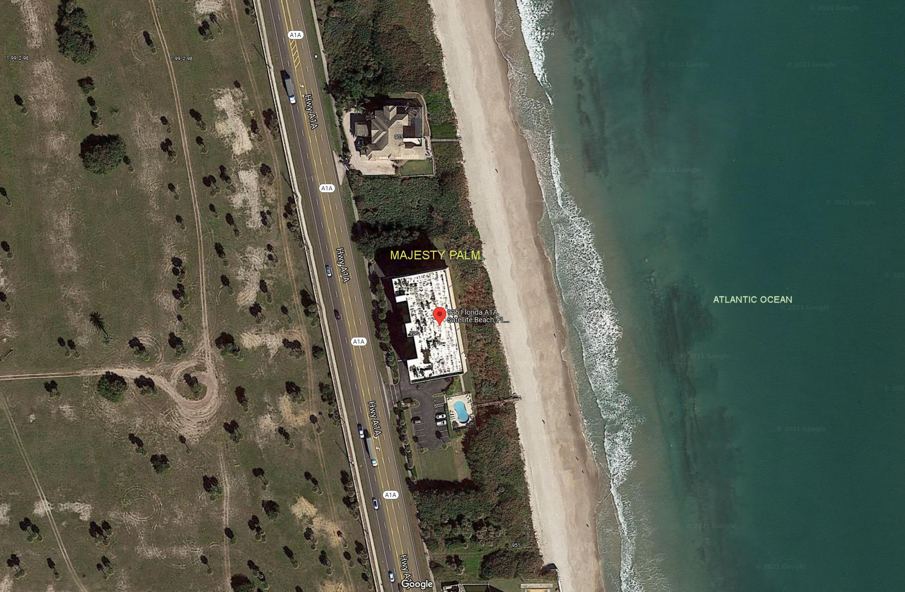 Aerial photo of Majesty Palm