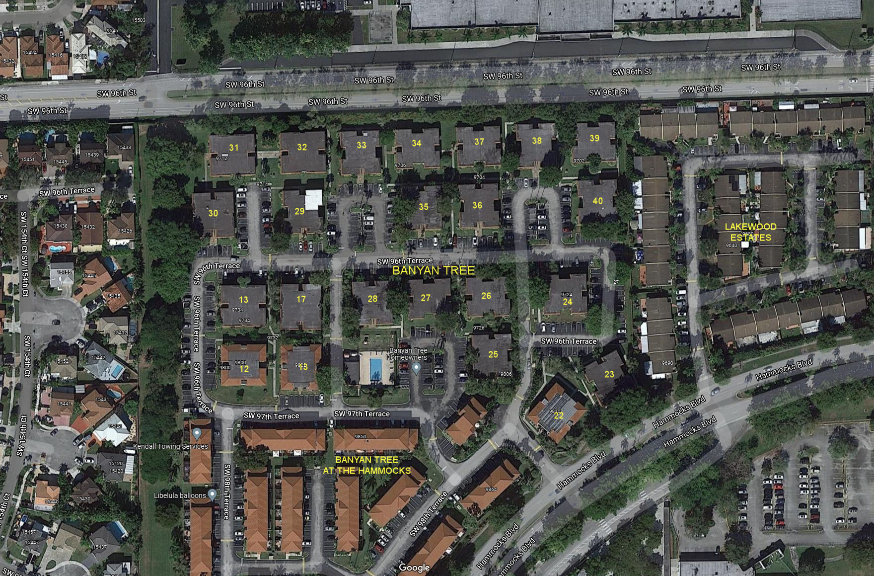 Aerial photo of Banyan Tree