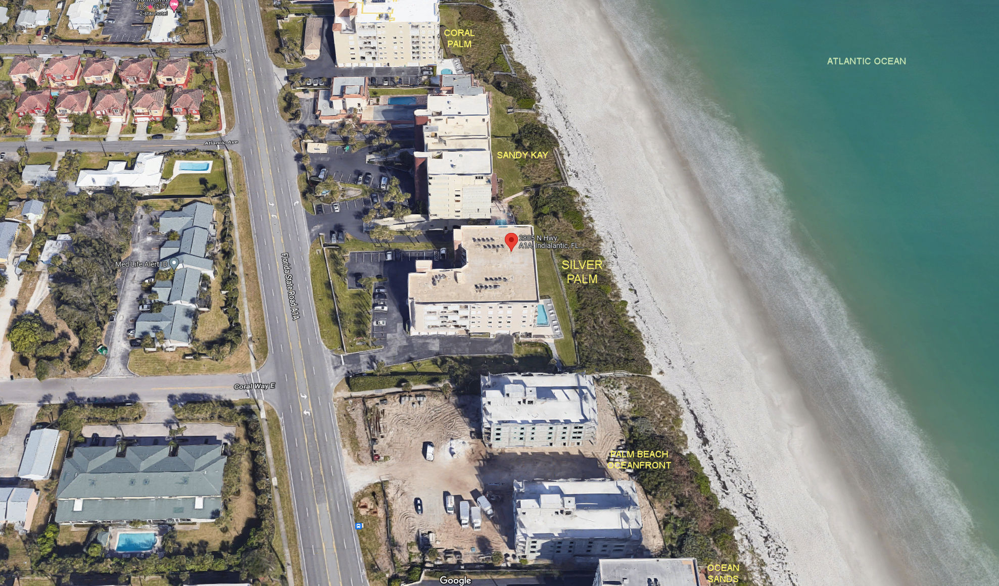 Aerial photo of Silver Palm