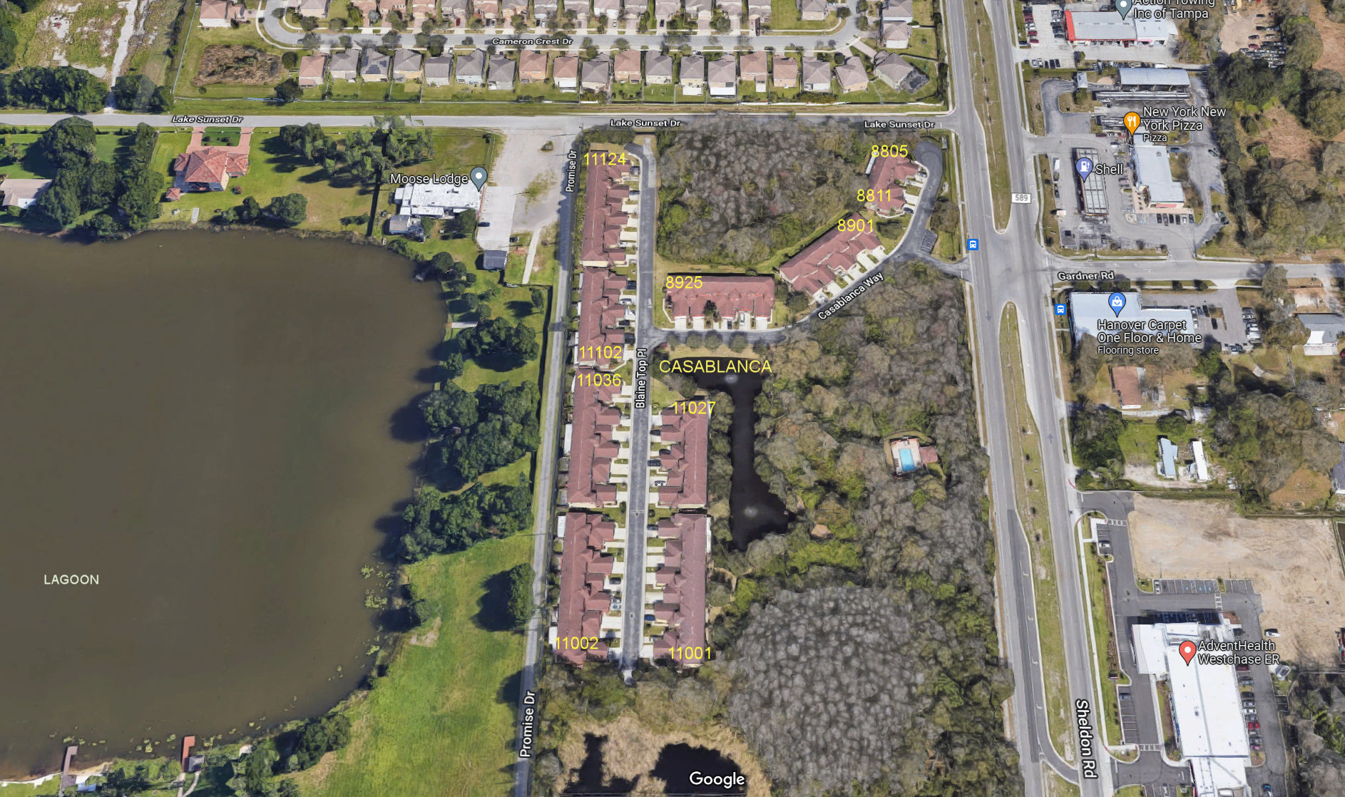 Aerial photo of Casablanca of Citrus Park