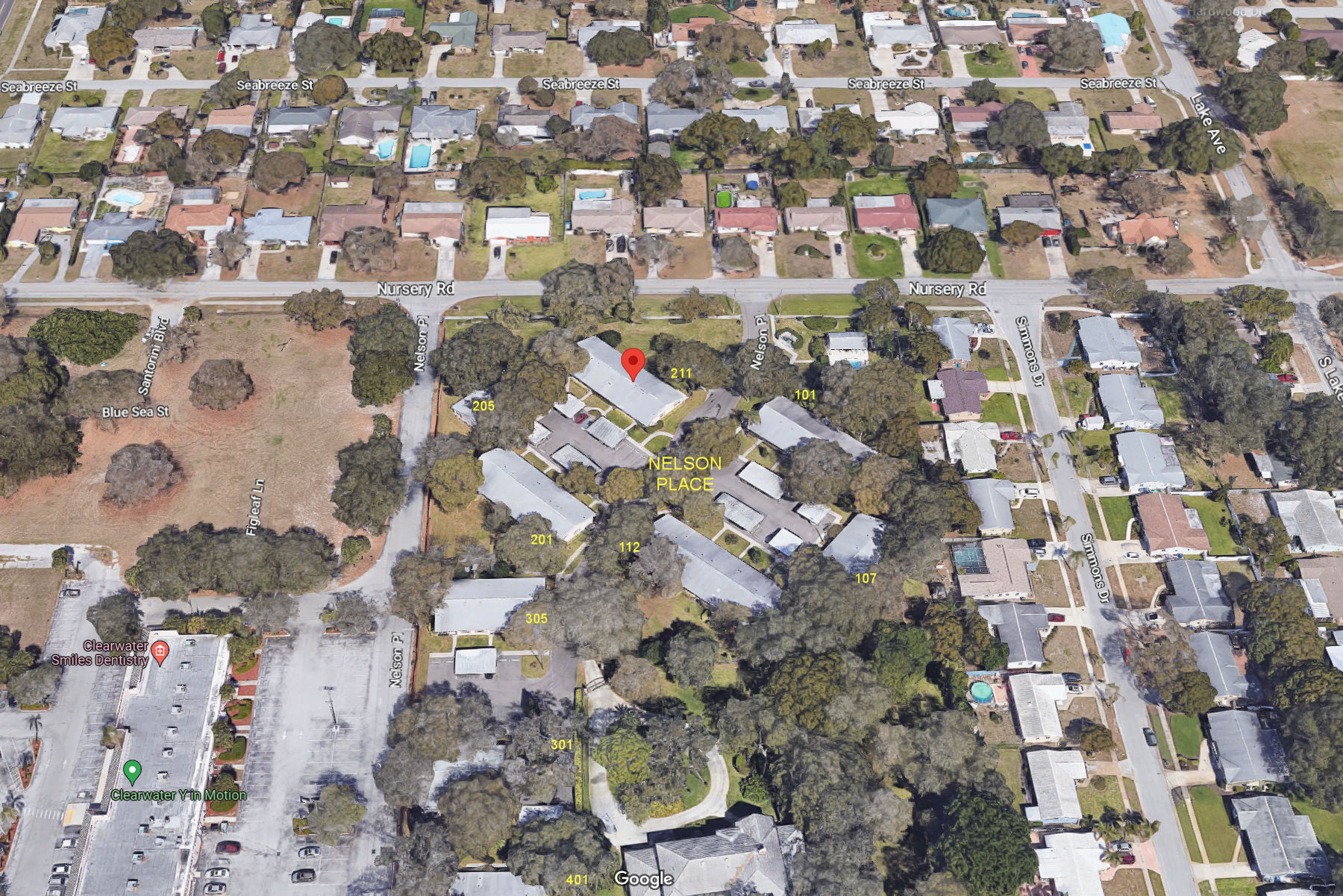 Aerial photo of Nelson Place