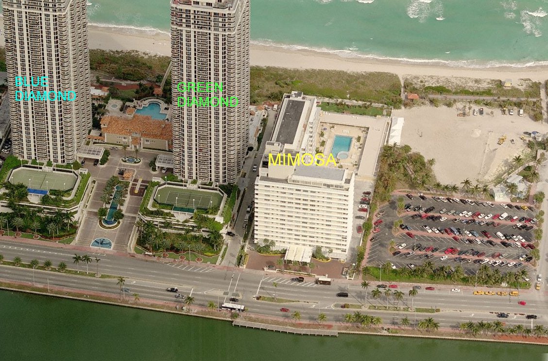 Aerial photo of Mimosa