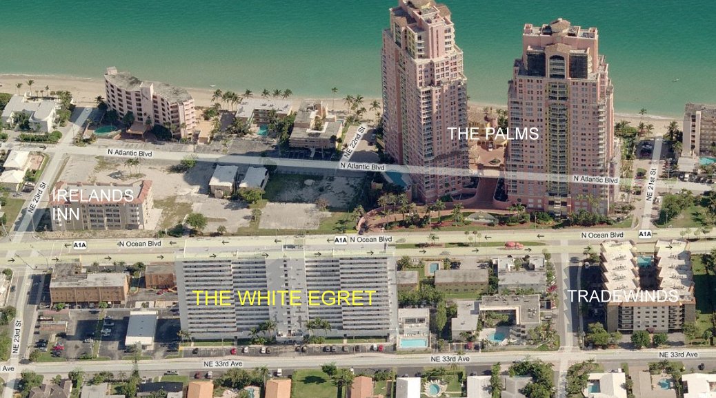 Aerial photo of White Egret