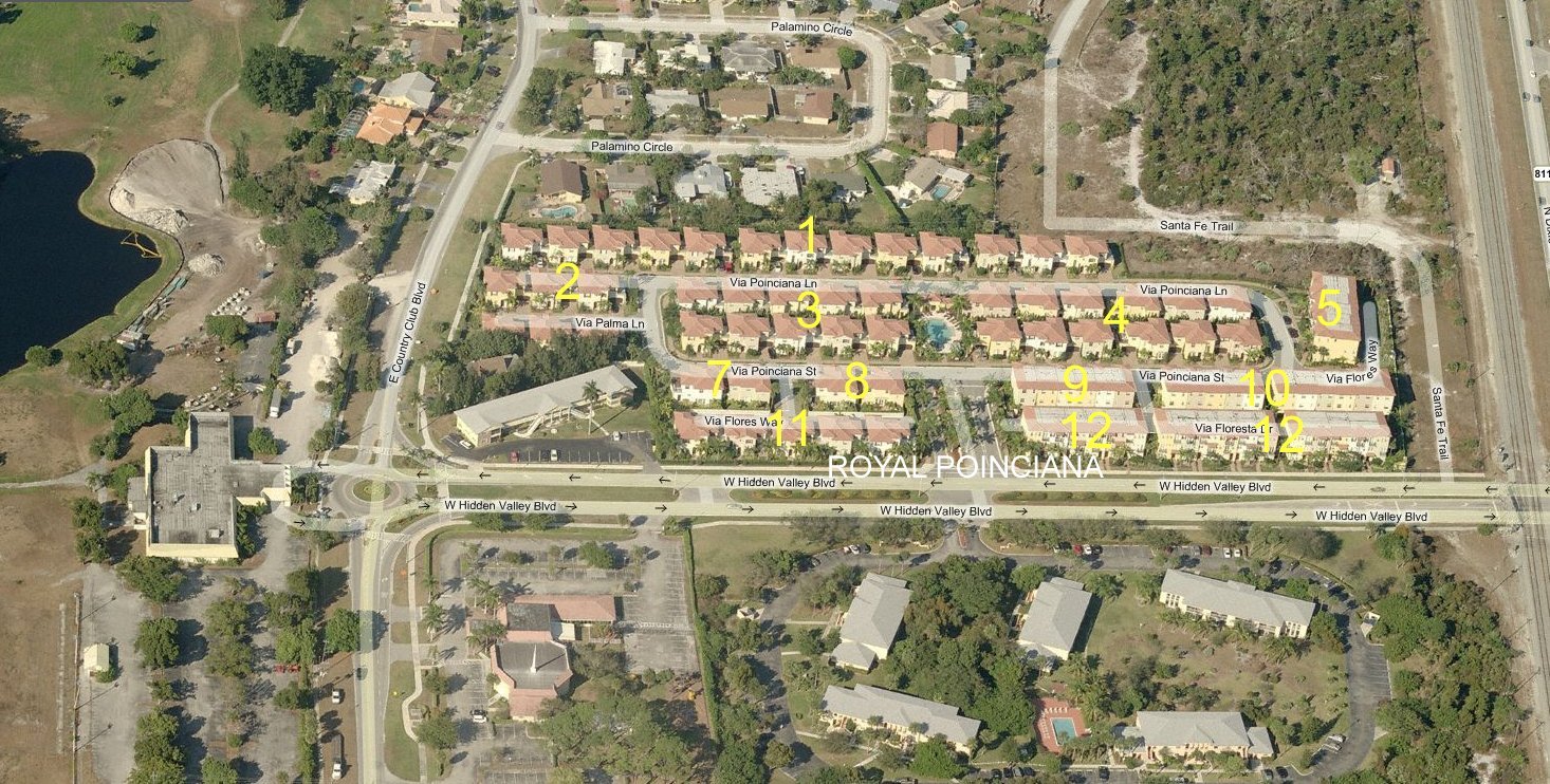 Aerial photo of Royal Poinciana