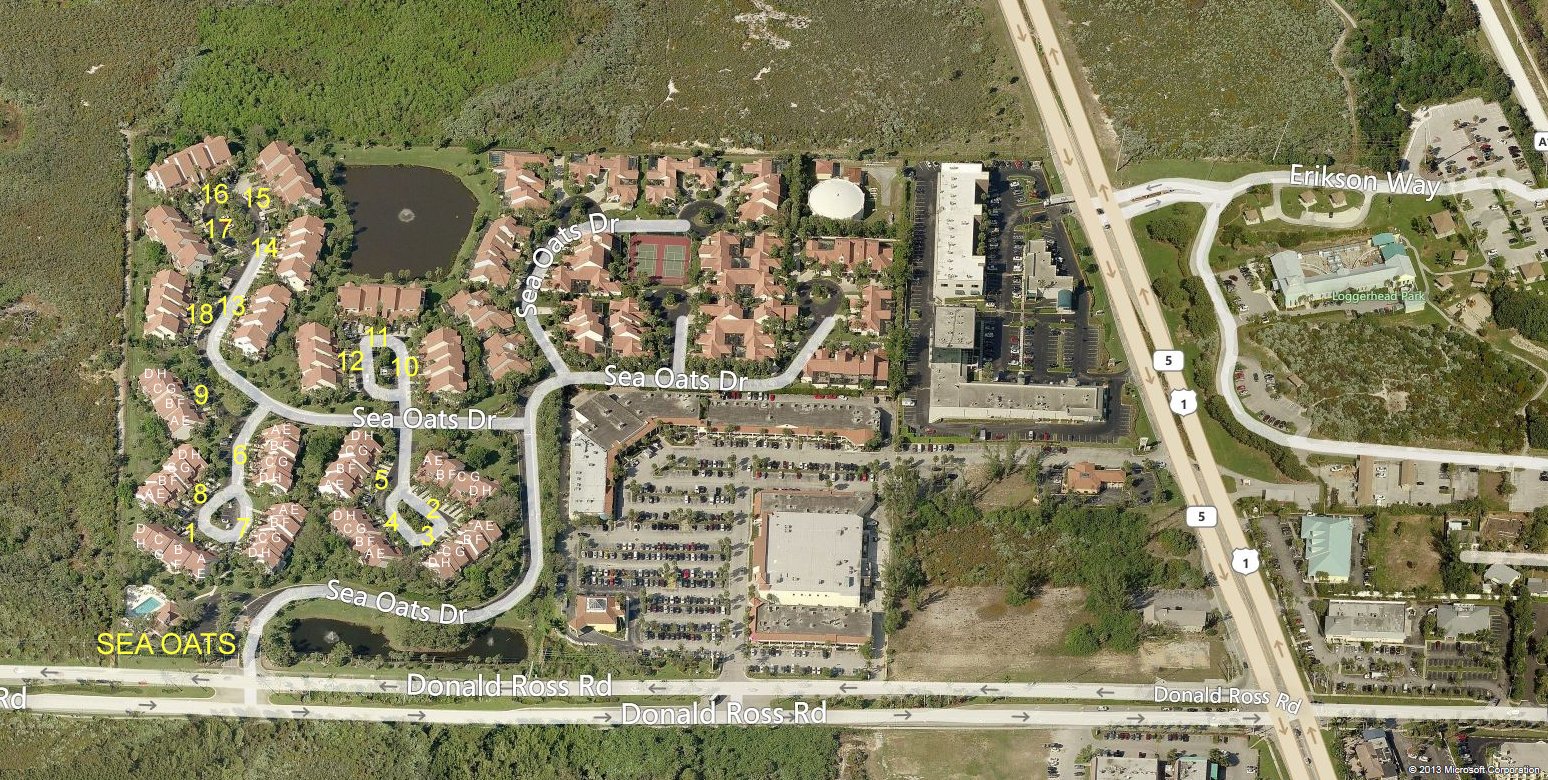 Aerial photo of Sea Oats