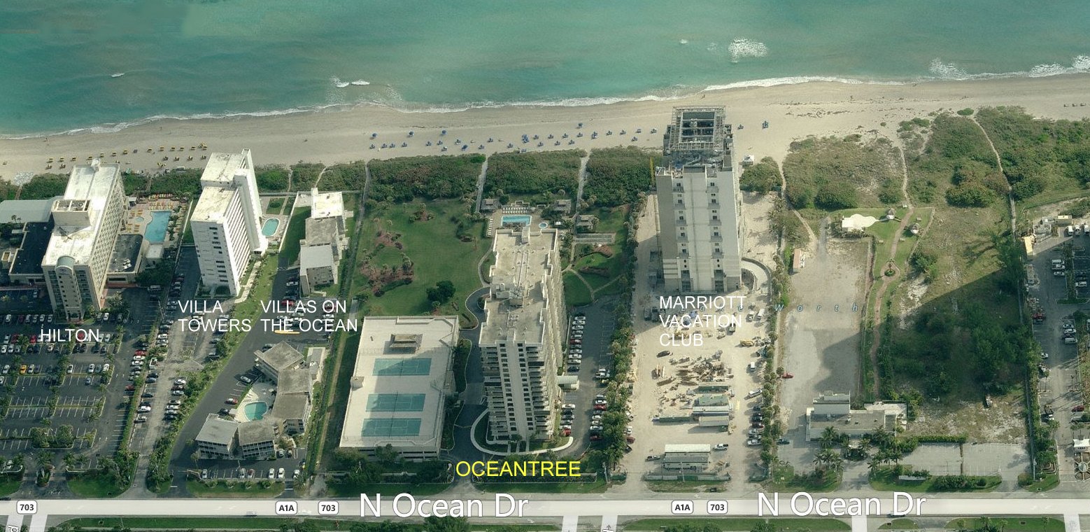 Aerial photo of OceanTree